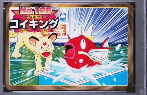 Magikarp vs Persian