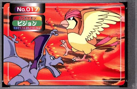 Pidgeotto vs Aerodactyl