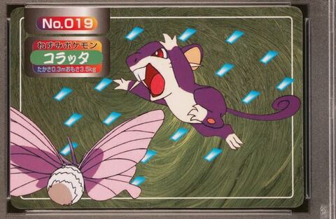 Rattata vs Venomoth