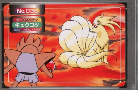 Ninetales vs Hitmonchan