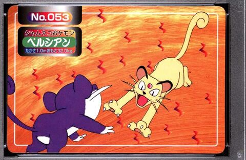 Persian vs Rattata