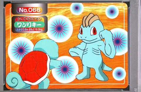 Machop vs Squirtle