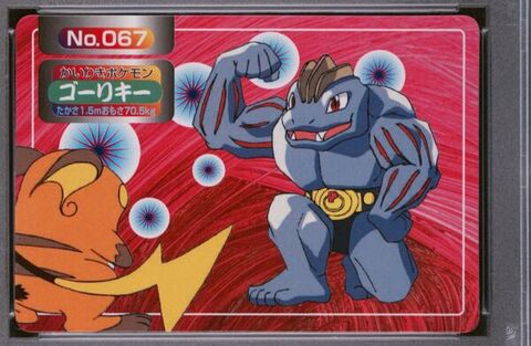 Machoke vs Raichu