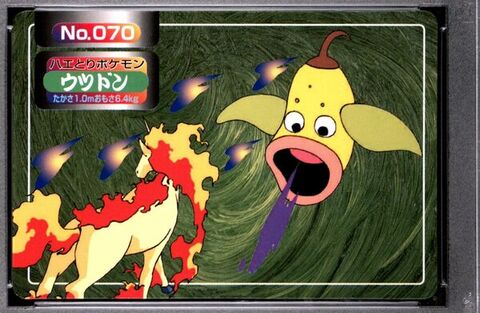 Weepinbell vs Rapidash