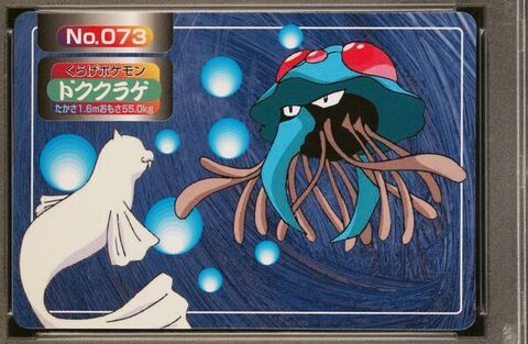 Tentacruel vs Dewgong
