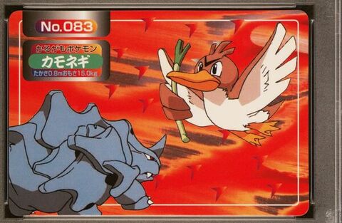 Farfetch’d vs Rhyhorn